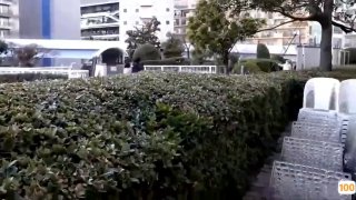 新新电影网伦理片🍆国产日韩欧美一区二区三区东京热🍆国产盗摄SPA+精品